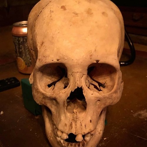 skull-of-law